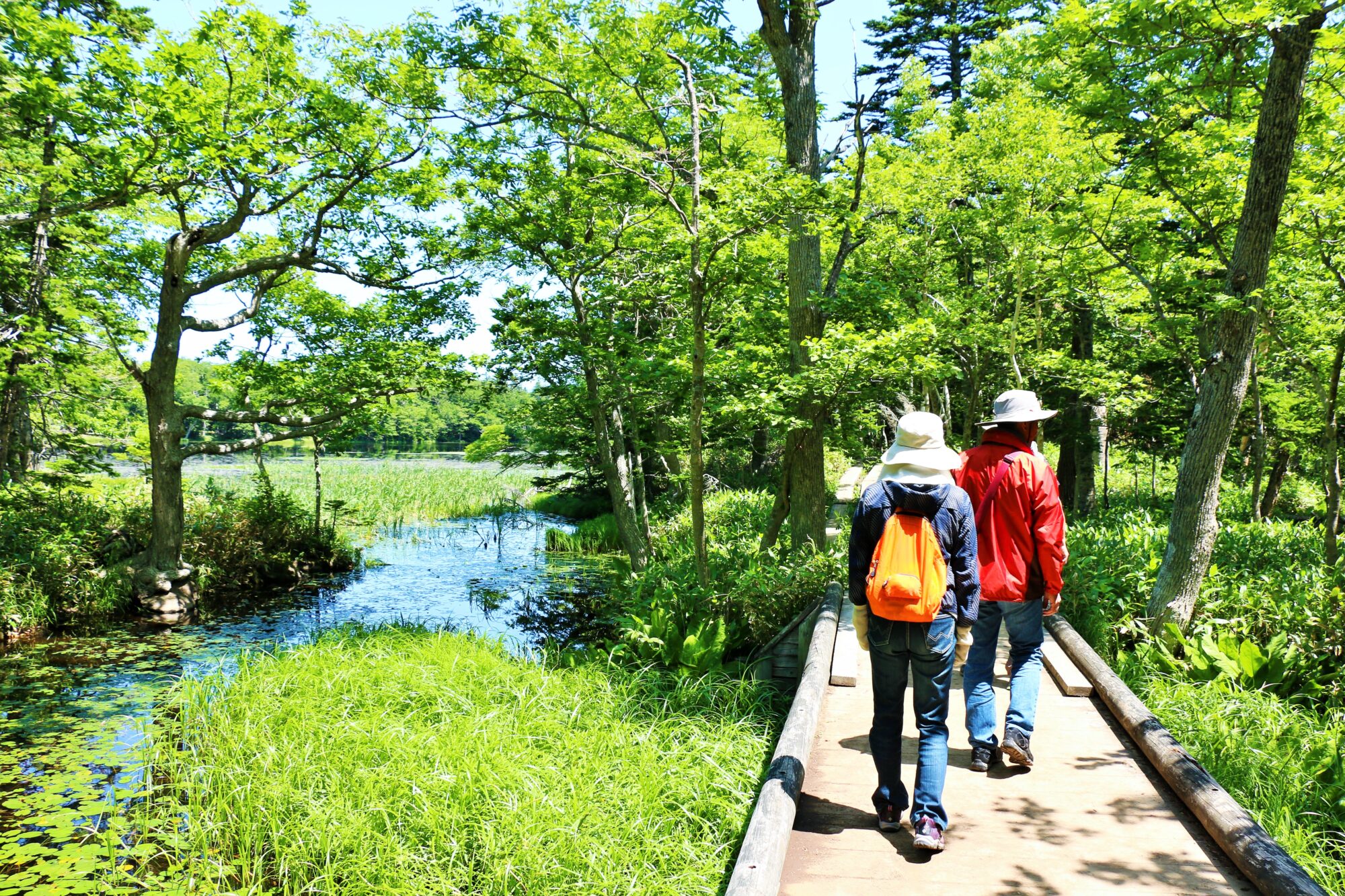 春から夏”の道北・道東で楽しみたい自然の名所 - 【公式】ひがし北海道自然美への道DMO