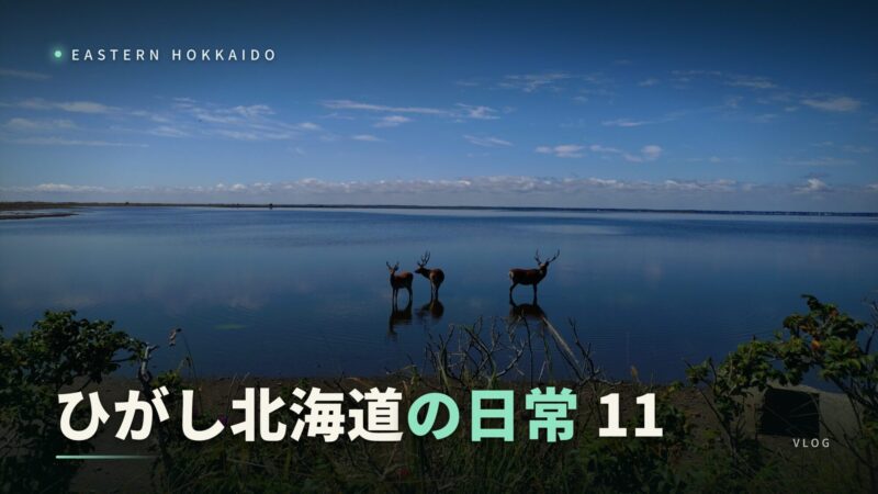 thumbnail_higashi-hokkaido11_web