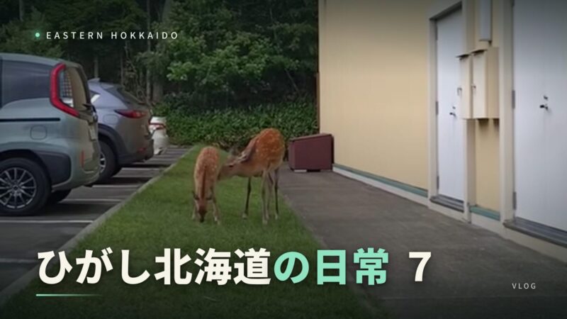 thumbnail_higashi-hokkaido7_web